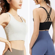 画像をギャラリービューアに読み込む, A1194 リブブラトップ