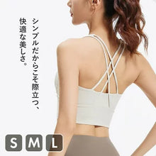 画像をギャラリービューアに読み込む, A1194 リブブラトップ