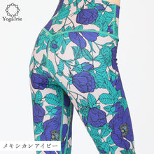 画像をギャラリービューアに読み込む, メキシカンアイビー