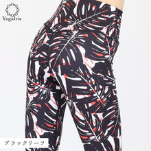 画像をギャラリービューアに読み込む, ブラックリーフ