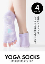 画像をギャラリービューアに読み込む, ヨガソックス