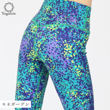 画像をギャラリービューアに読み込む, モネガーデン