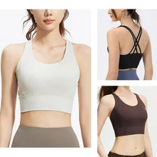 画像をギャラリービューアに読み込む, A1194 リブブラトップ
