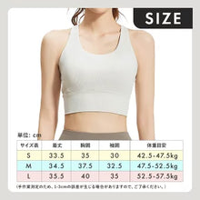 画像をギャラリービューアに読み込む, A1194 リブブラトップ
